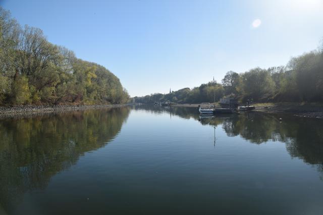 Rekordniedrigwasser Rhein 2018 - Bild 4