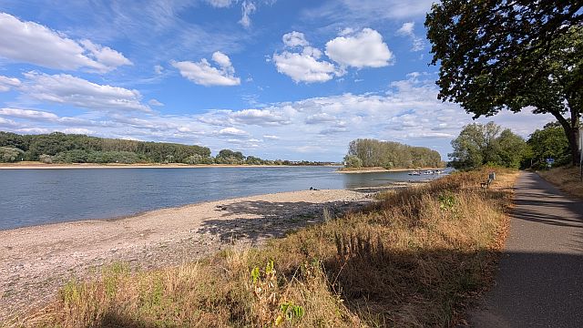 Neue rekordtiefe Pegelwerte - Rhein bei Uedorf erschlankt